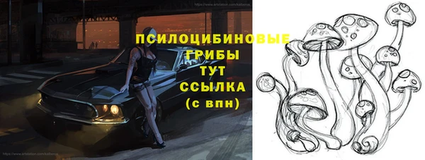 гашик Богородицк
