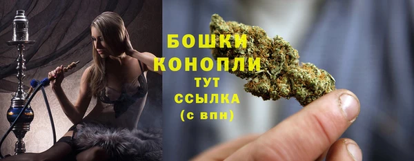 гашик Богородицк