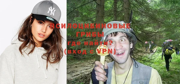 гашик Богородицк
