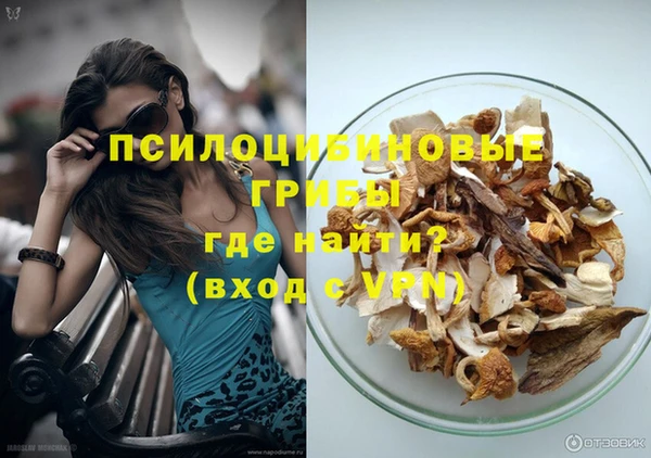 мескалин Богданович