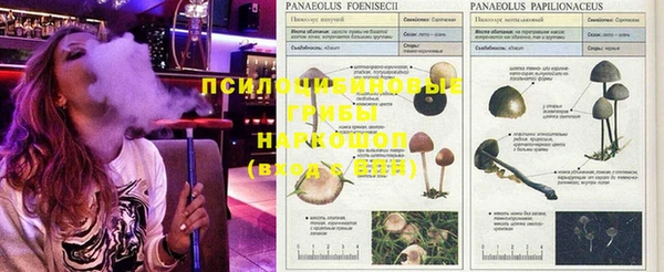 мяу мяу мука Богородск