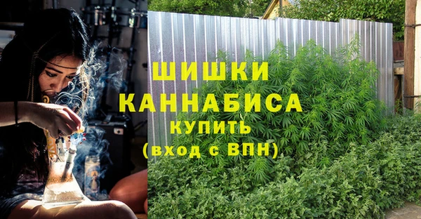 мескалин Богданович